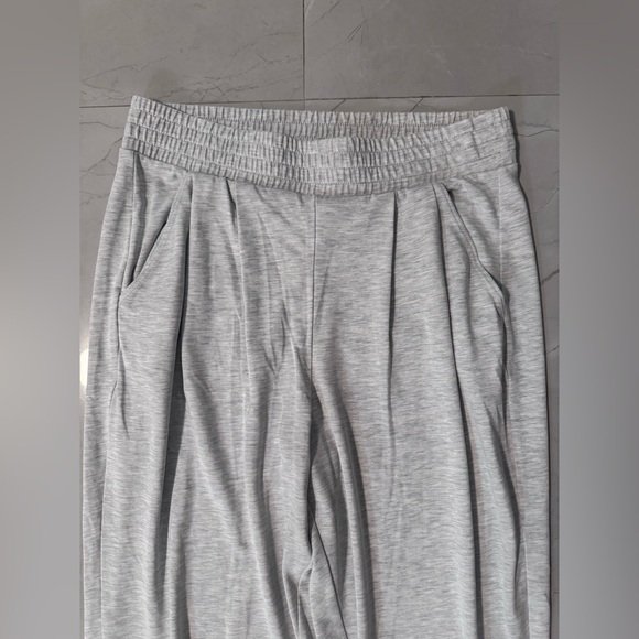 Express Light Gray Joggers - Picture 2 of 7